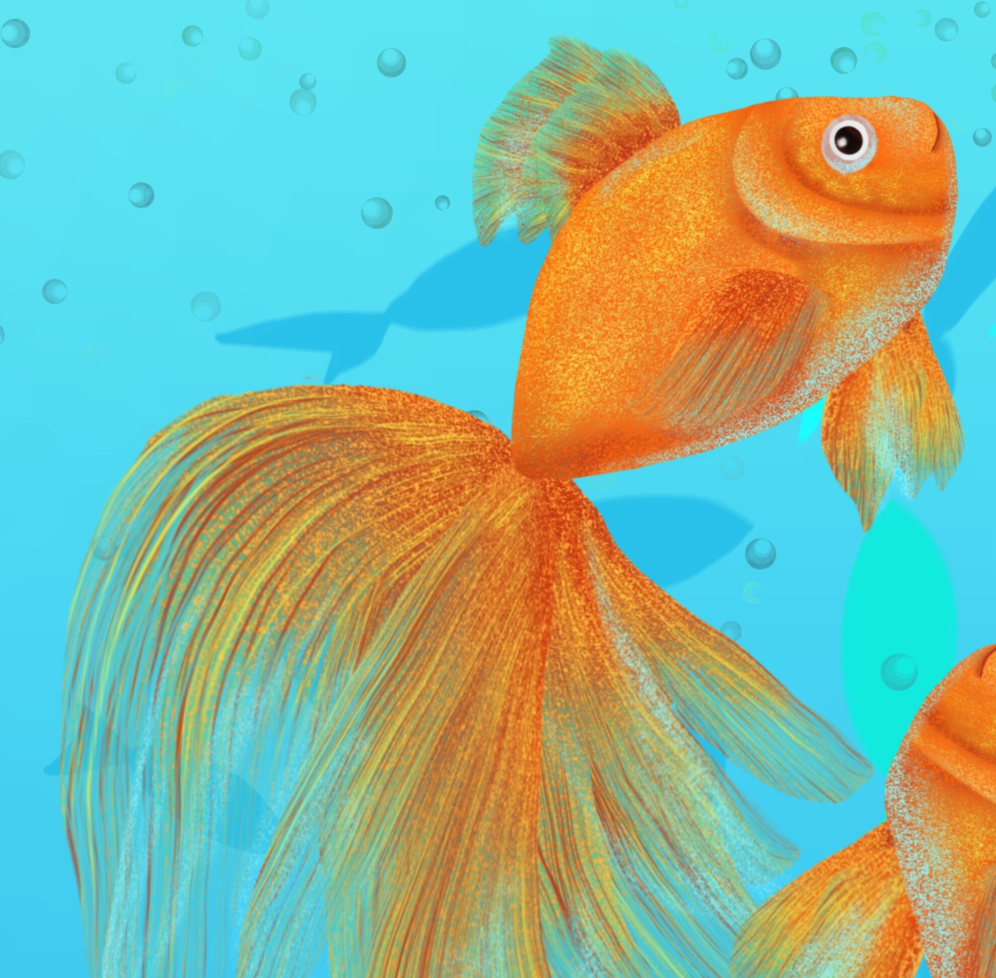 Рыба Золотая рыбка